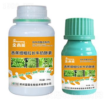 香蕉增粗拉長(zhǎng)牛奶酵素-金禾能-嘉禾農(nóng)業(yè)