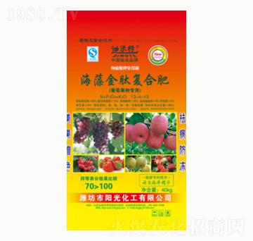 ������ď�(f��)�Ϸ�-ꖹ⻯