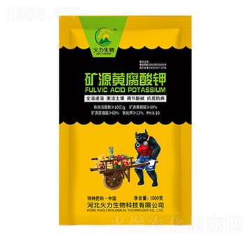 1000g�VԴ�S�����-��������