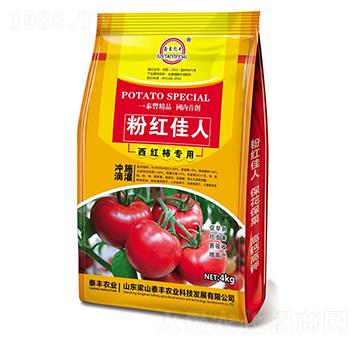 粉紅佳人-梁山泰豐