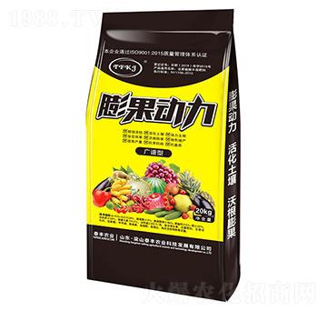 �V�V���������-��ɽ̩