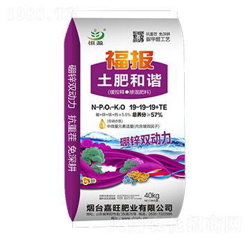 緩控釋摻混肥料19-19-19+TE-福報(bào)土肥和諧-嘉旺