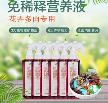 免稀釋花卉多肉專用營養(yǎng)液-花善語-六道福