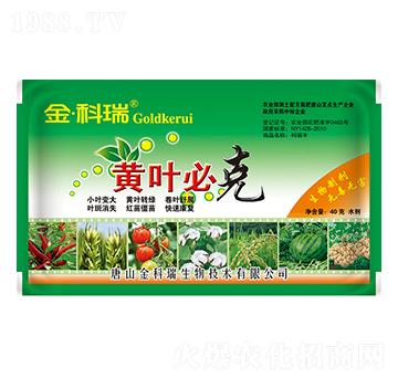 黃葉必克-金科瑞