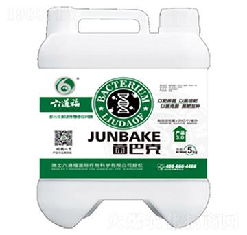 ���Ϳ�-������