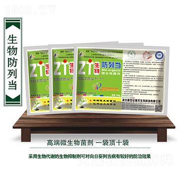 ΢�������-���Ю�(d��ng)-��������