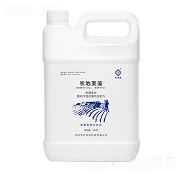 農地美藻-農地美