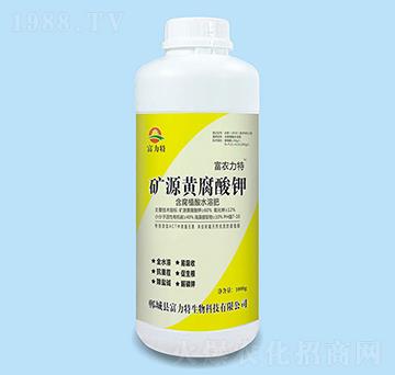 �VԴ�S�����-������