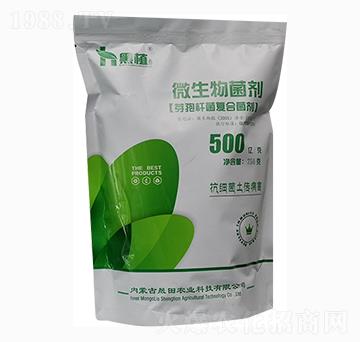 芽孢桿菌復(fù)合菌劑-黑植-晟田農(nóng)業(yè)