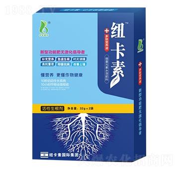 ������������320g��