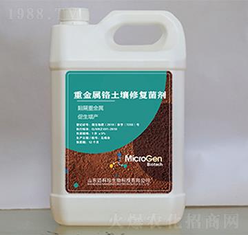 �ؽ����t�����ޏ�(f��)����-�~����