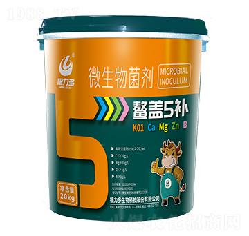 ΢�������-���w5�a(b��)-������