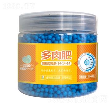 多肉型顆?？蒯尫?睿智益農(nóng)