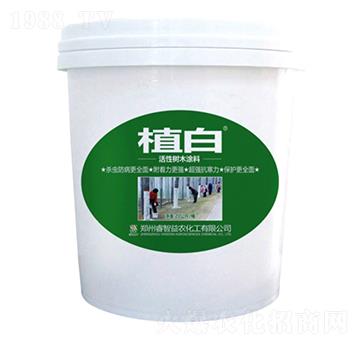 20公斤植白活性樹(shù)木涂料-睿智益農(nóng)
