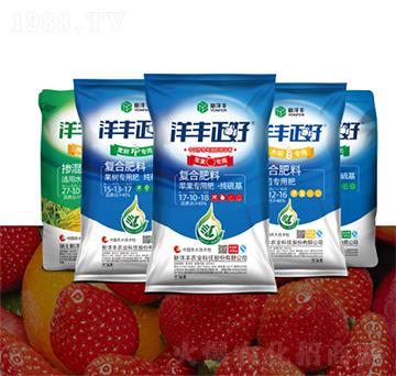 洋豐正好專(zhuān)用肥-新洋豐