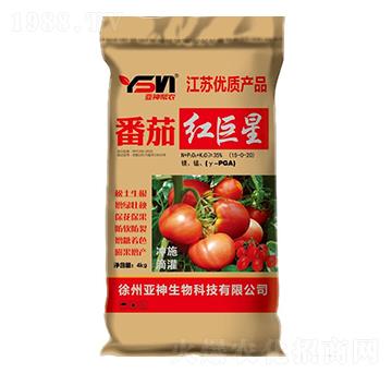 番茄紅葉面肥-亞神邦農(nóng)