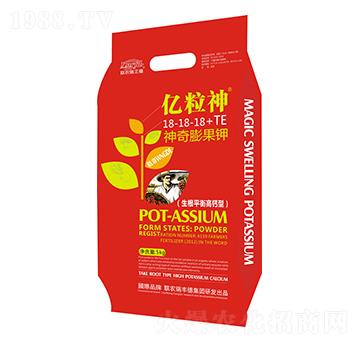 ��������18-18-18+TE-�|����-���S��