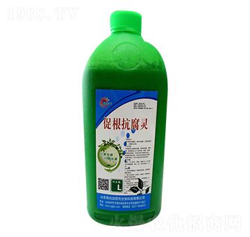 促根抗腐靈-陽(yáng)光加百列