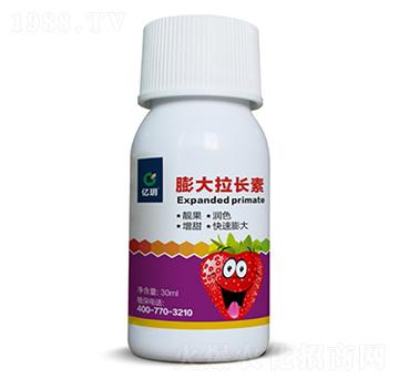 草莓膨大拉長(zhǎng)素-匯禾生物