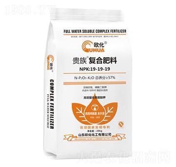 �F��ͺϷ���19-19