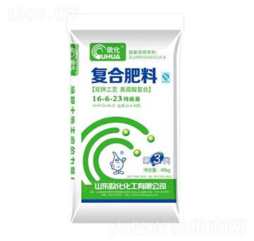 ������ͺϷ���16-6-23-�W��