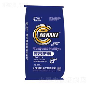 �������ͺϷ���16-12-18-�W��