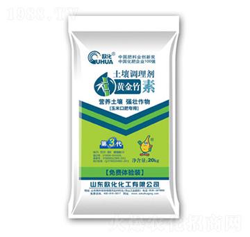 �S�����������{�턩-�W��