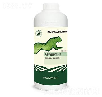 �����o(h��)��EM��-���}