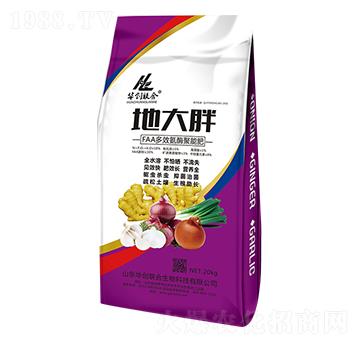 地大胖多效氨酶聚能肥-華創(chuàng)聯(lián)合