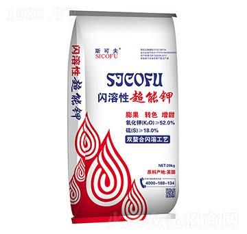 �W���Գ����-�������