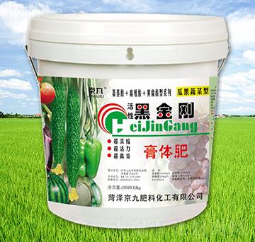 活性黑金剛-京九