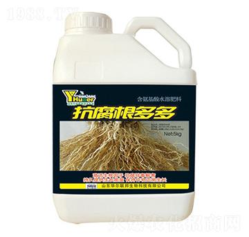 抗腐根多多-華爾百諾