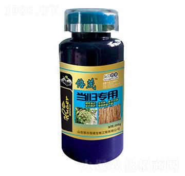 當(dāng)歸專用葉面肥-華爾百諾