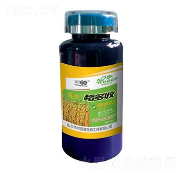 稻多收-華爾百諾