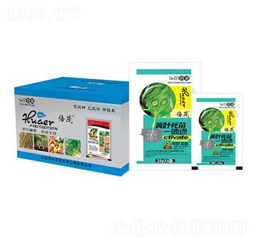 黃葉死苗一噴綠-華爾百諾