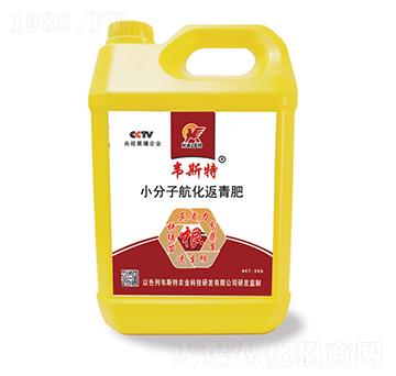 С���Ӻ��������-�f˹��-���r�I(y��)