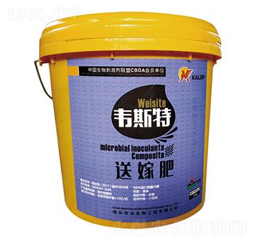 Һ�w�ͼ޷�-�f˹��-���r(n��ng)�I(y��)