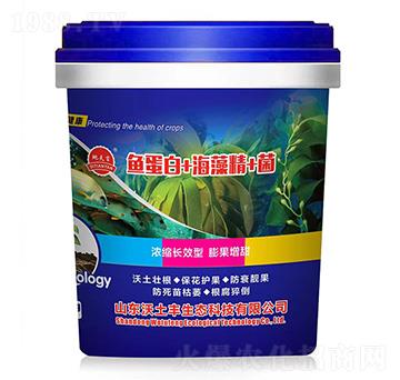 �~����+���徫+��-�����S���B(t��i)