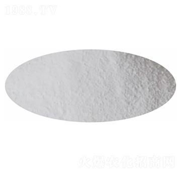 �����(NOP)-�P�����d