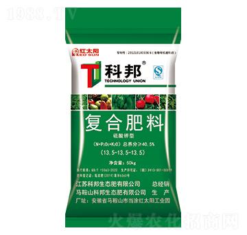 ������͏ͺϷ���13.