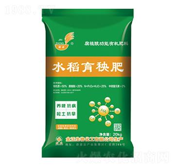 腐植酸功能有機肥料-水稻育秧肥-金正生物