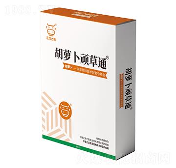 ���}���B��ͨ-���A����