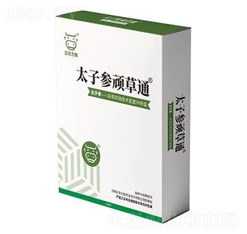 ̫�Ӆ��B��ͨ-���A����