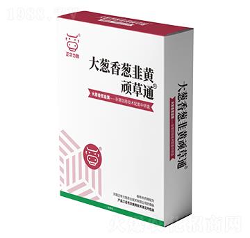 ���[�����[�����S�B��ͨ-���A����