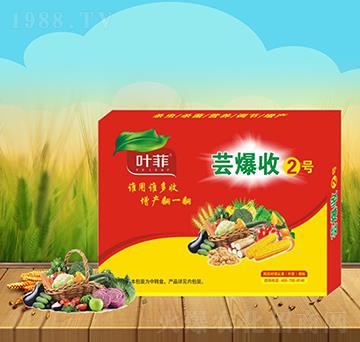 蕓爆收2號(hào)-德邦葉菲