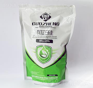 國(guó)正硅-正能量