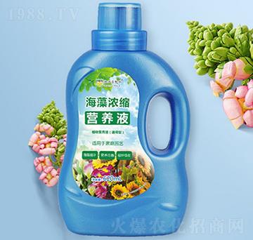 �����s�I�B(y��ng)Һ-���ֶ����