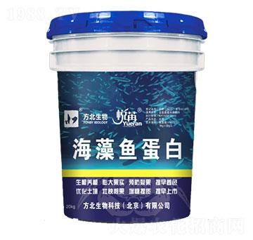 海藻魚蛋白-方北生物