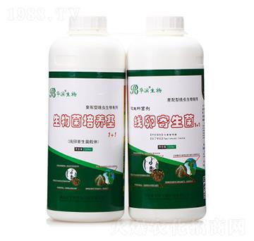 ��������B(y��ng)��+���Ѽ�����-�A�I����