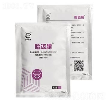 �V������}-���~�v-���A����